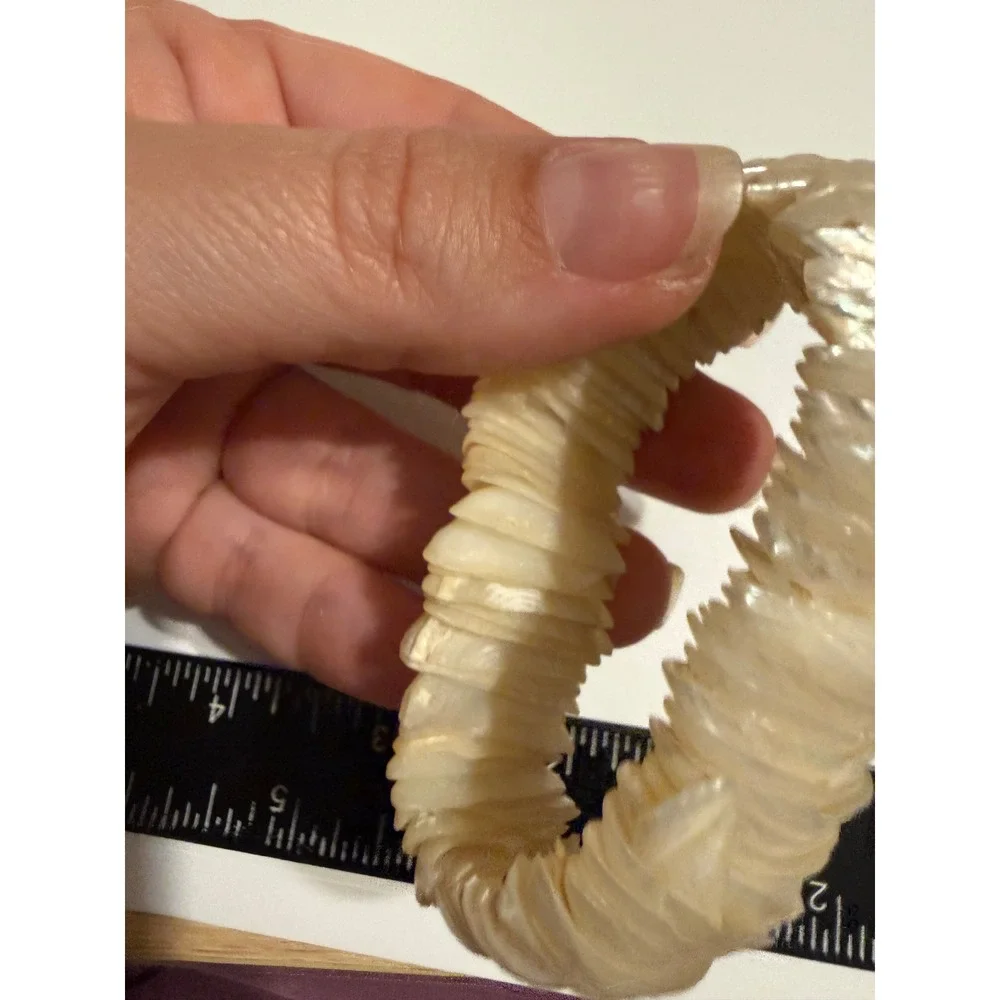 Mother of Pearl Shell Stretch Bracelet Iridescent Stacked Coastal Boho Cream